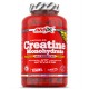 AMIX Creatine Monohydrate - 500 caps